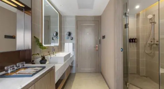 Люкс Deluxe Vienna Hotel Bijie Zhijin Ancient City