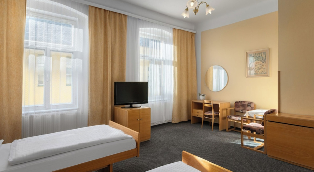 Двухместный номер Comfort с видом на город Spa Hotel Goethe