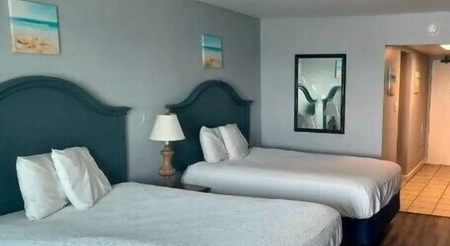 Blue Palmetto Vacation Rentals