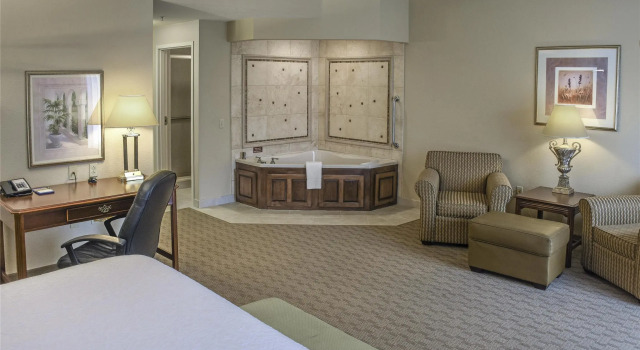 Студия Hampton Inn & Suites Youngstown-Canfield