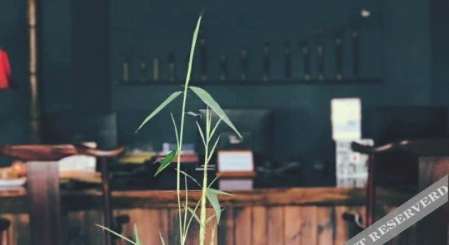 Scholar Tree and Riverside Boutique Hotel, Reservar Hotel boutique Jiangbei District Ningbo
