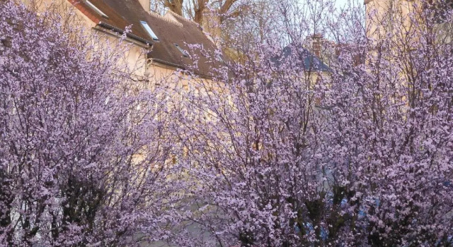 Maison de Marie, Забронировать Вилла Пон-Сент-Максанс Oise