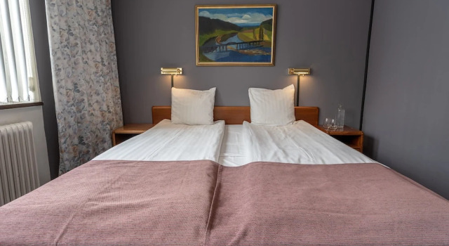Двухместный номер Economy Hotell Villa Sparta