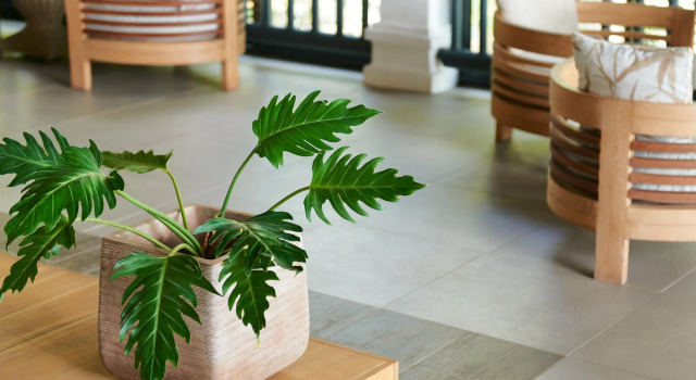 La Plantation Resort & Spa, Boek Hotel Hotels in Mauritius North Coast met parkeren, Parkeren