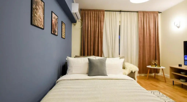 THE DREAM Apartment - Near Radisson Hotel, Забронировать Апартаменты/квартира Бухарест Muntenia, рядом с Музей коллекций произведений искусства