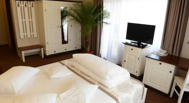 Двухместный номер Standard Hotel Europa