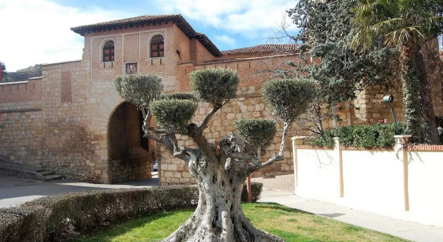 Daroca Alojamientos