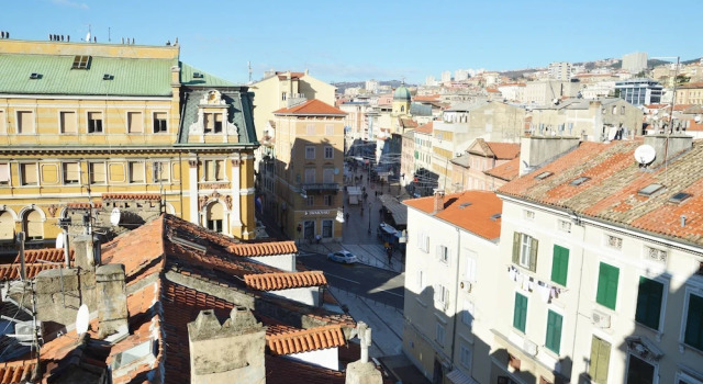 Апартаменты Standard Apartments Budin