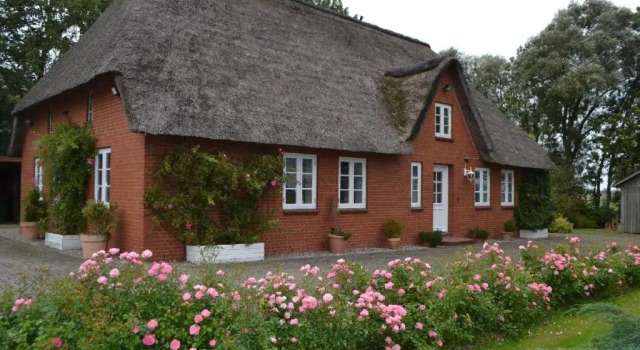 Rosenkate