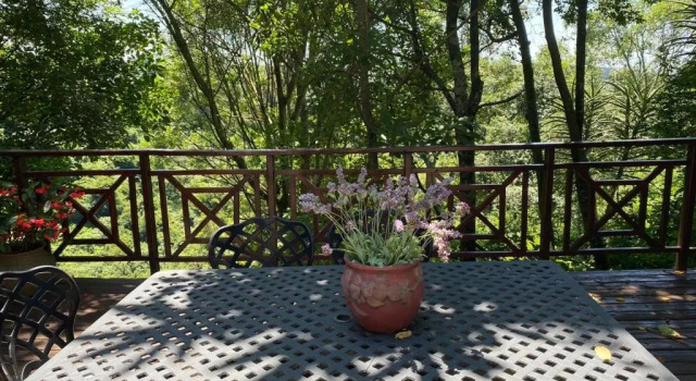 Cabbage Tree Cottage