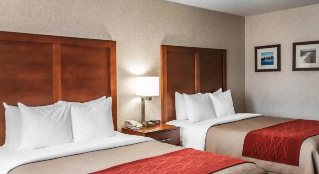 Standard Vierer Zimmer Quality Inn