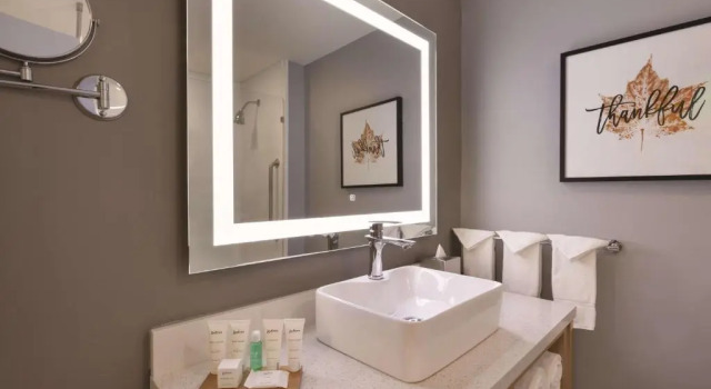 Номер Business Radisson Hotel Atlanta Airport