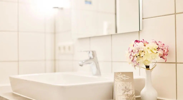 Одноместный номер Standard Brunnenhof City Center