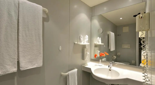 Одноместный номер Standard Michel Hotel Hodenhagen Serengeti