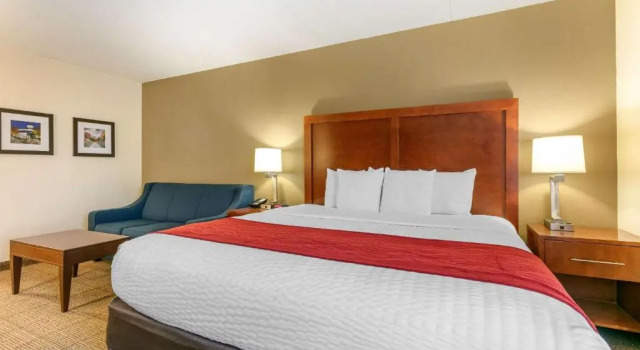 Номер Standard Comfort Inn Chattanooga Downtown Southside
