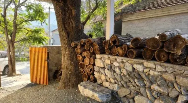 A Locust Tree Homestay, Huairou (Beijing)