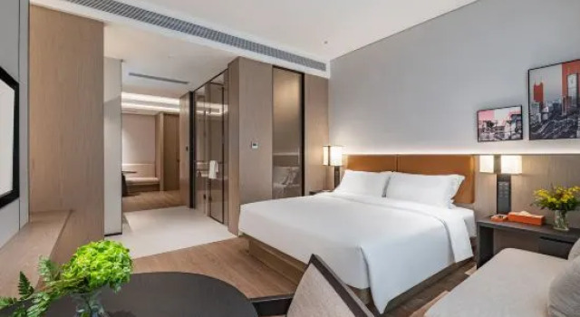 Люкс GLaDoRe Shenzhen Hotel
