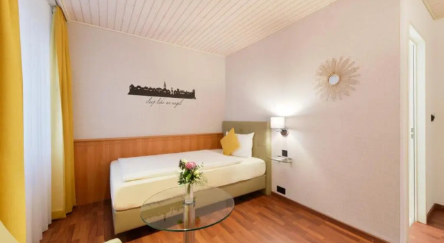 Одноместный номер Standard Hotel Engel