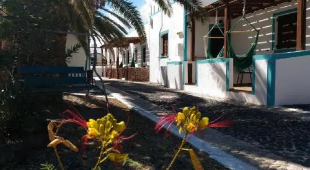 Palm Studios