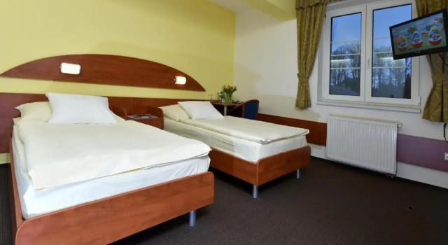 Номер Economy Hotel Břízky