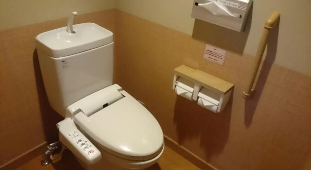 Номер Standard Hirugami Grand Hotel Tenshin