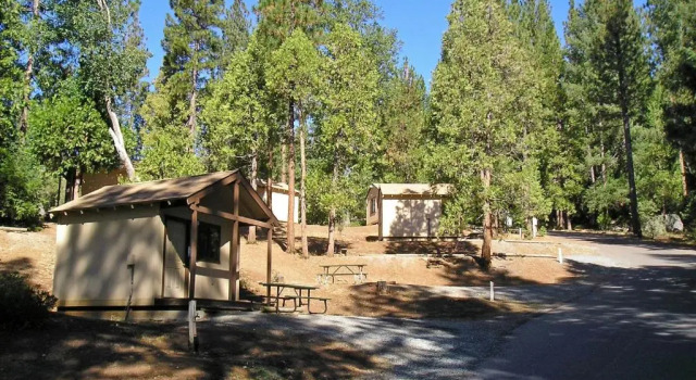Кровать в общем номере Yosemite Lakes Bunkhouse Cabin 34