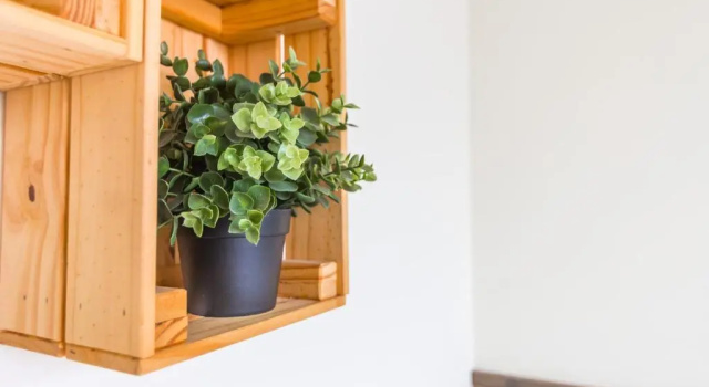 Двухместный номер Comfort Cozy Green Guesthouse