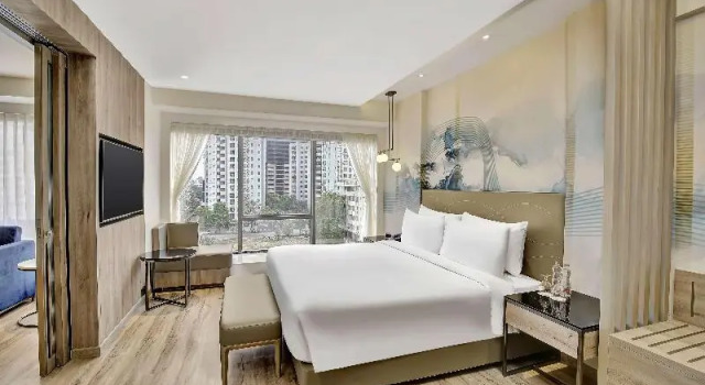 Люкс Standard Park Inn by Radisson Surat