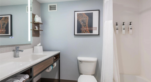 Четырёхместный номер Standard Hilton Garden Inn Auburn Riverwatch