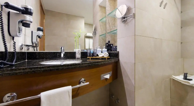 Двухместный номер Executive MDS Hotel Concepción