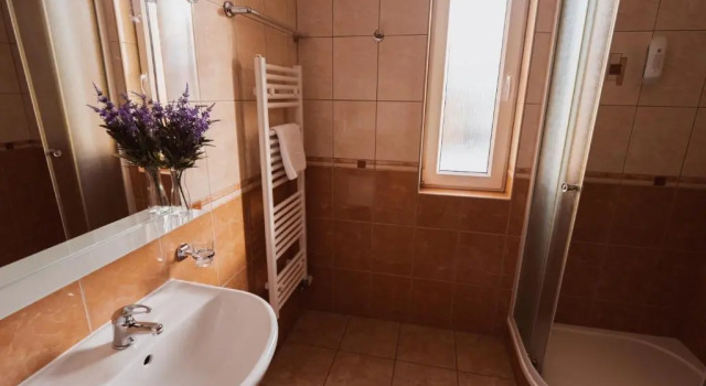 Трёхместный номер Standard Relax Hotel Pelikán