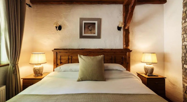 Двухместный номер Super Tudor Lodge