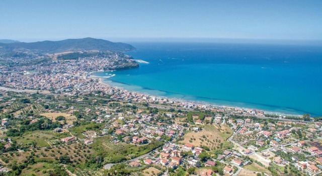 Gelso Viola