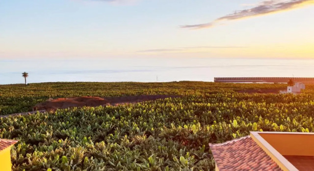 Апартаменты La Palmita Sunset