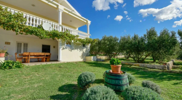 Apartment Ana Maslenica