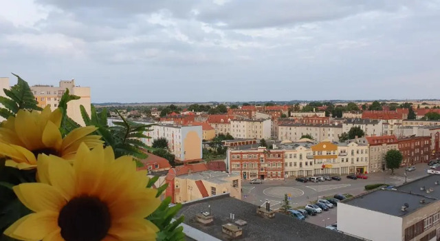 Апартаменты Apartament Anielki