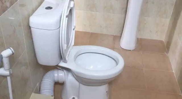 Люкс Zaradise