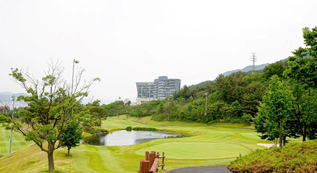 Люкс Boryeong Base Resort