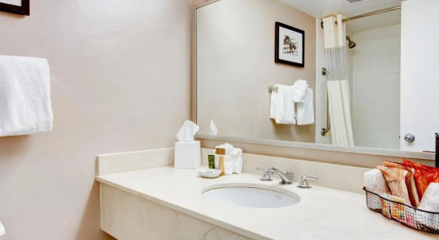 Standard Zimmer Stayable Select Gainesville