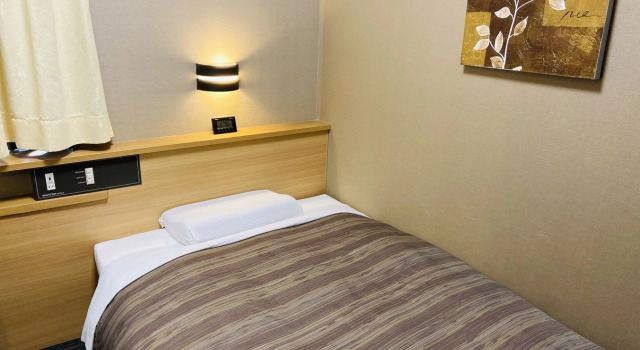 Одноместный номер Standard Hotel Route-Inn Shinagawa-Oimachi