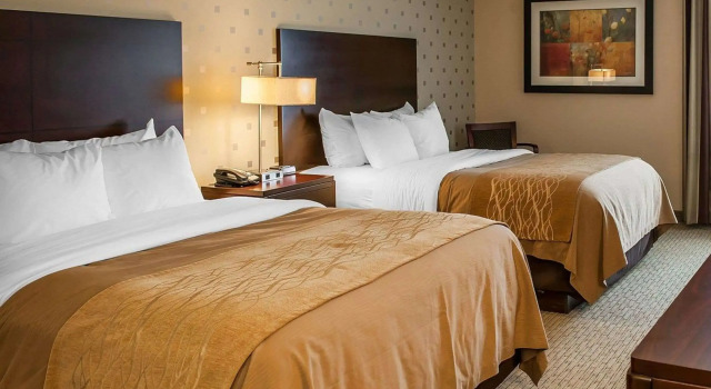 Четырёхместный номер Standard Comfort Inn Bloomington near University