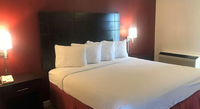 Кровать в общем номере Red Roof Inn & Suites San Angelo