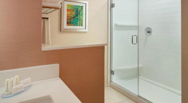 Номер Standard Fairfield Inn & Suites by Marriott Hendersonville Flat Rock