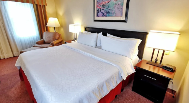 Номер Standard Holiday Inn Reynosa Zona Dorada by IHG