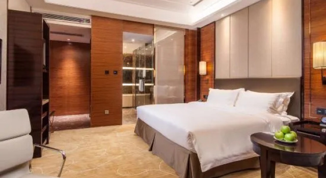 Suite Superior Leida Hotel