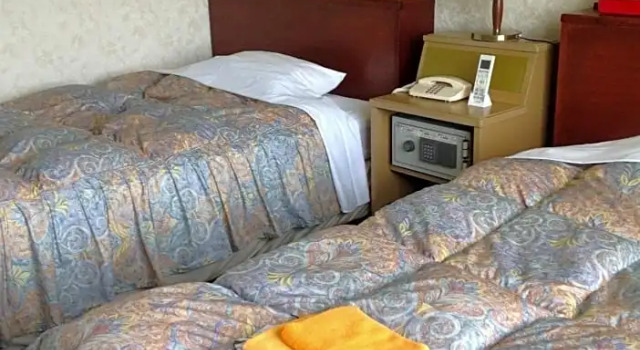 Двухместный номер Standard с видом на горы Ibusuki Seaside Hotel