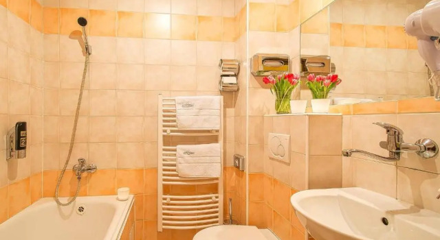 Двухместный номер Standard с видом на горы Hotel Diery