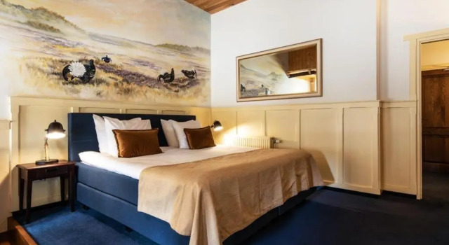 Номер Superior Hotel de Watermölle
