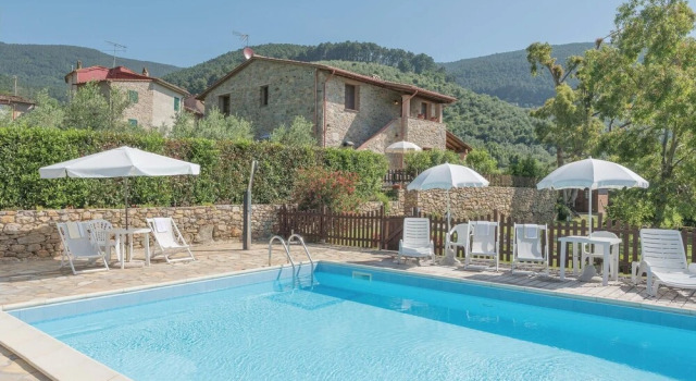 Rosmarino