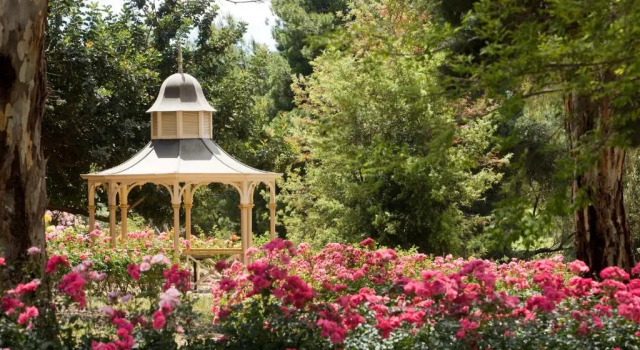 Номер Standard The Residence at Barossa Chateau